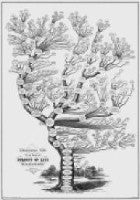 Burnett Family Tree